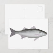 zeebaars briefkaart (Voorkant / Achterkant)