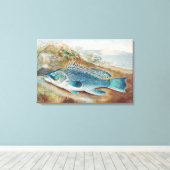 Zeebaars door S.A. Kilbourne, Oude vis Canvas Afdruk (Insitu (Houten vloer))