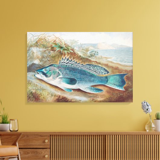Zeebaars door S.A. Kilbourne, Oude vis Canvas Afdruk (Insitu (Woonkamer))