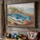 Zeebaars door S.A. Kilbourne, Oude vis Poster
