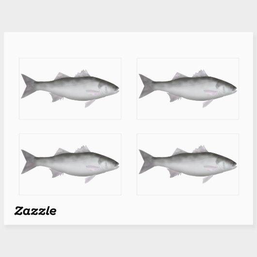 zeebaars rechthoekige sticker (Vel)