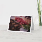 Zeebanket in het Mercado Central, Valencia, Spanje Kaart (Voorkant)