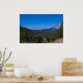 Zeebekken van zoogdieren, CA Poster (Keuken)