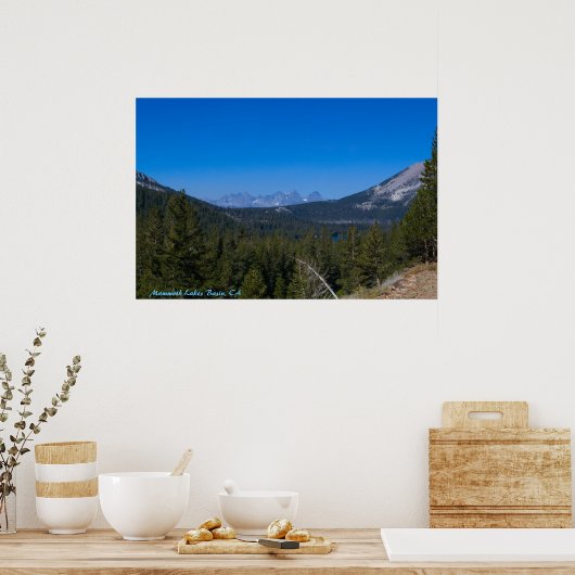 Zeebekken van zoogdieren, CA Poster (Keuken)