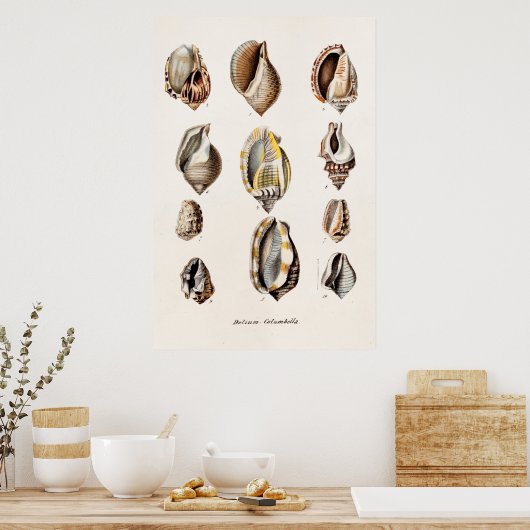  zeebergen Aangepersonaliseerde Retro Berge Shell Poster (Keuken)