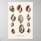  zeebergen Aangepersonaliseerde Retro Berge Shell Poster (Voorkant)