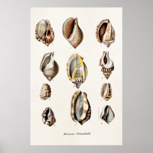  zeebergen Aangepersonaliseerde Retro Berge Shell Poster