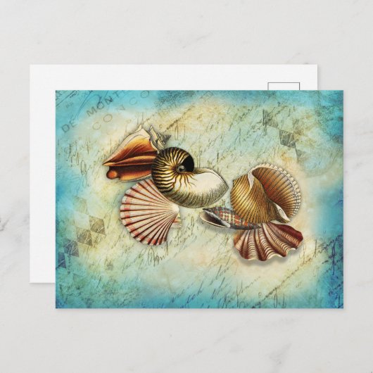  zeeblauw briefkaart (Voorkant / Achterkant)