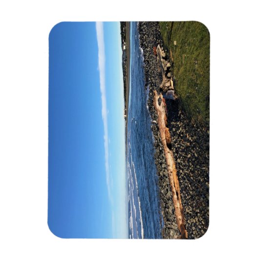 Zeebodem, oregonkust magneet (Verticaal)