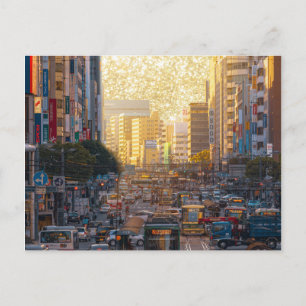 zeebrasem briefkaart