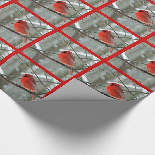 Zeebrasem (Rode Grens) Cadeaupapier (Hoek)