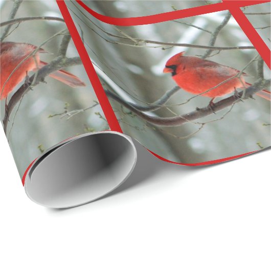 Zeebrasem (Rode Grens) Cadeaupapier (Rol Hoek)