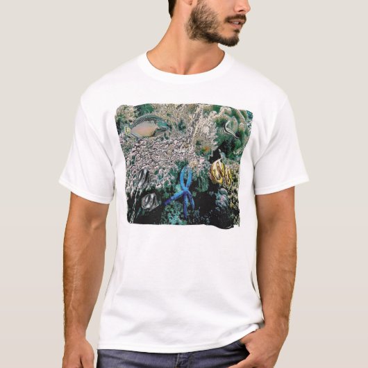 zeebrasem t-shirt (Voorkant)