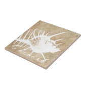  zeebrasem tegeltje (Zijkant)