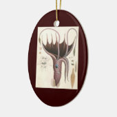  zeedieren, baardplein keramisch ornament (Links)