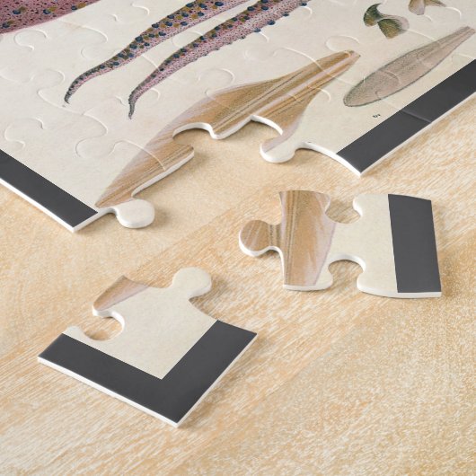 zeedieren, baardplein legpuzzel (Zijkant)