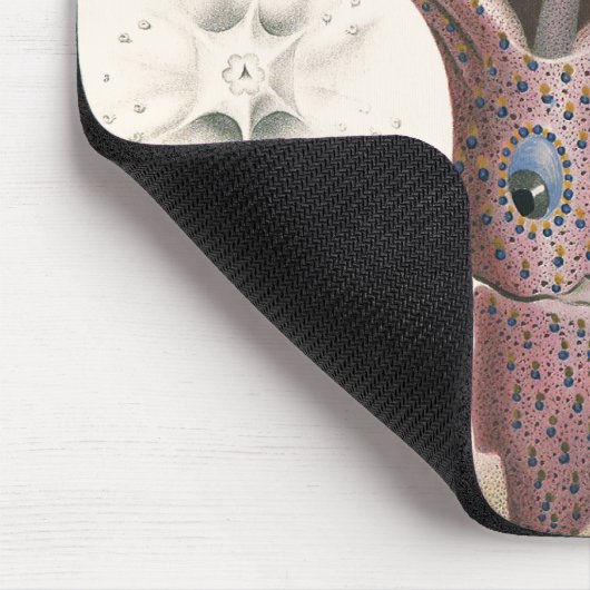  zeedieren, baardplein muismat (Hoek)