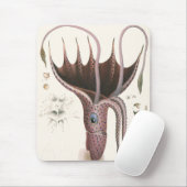 zeedieren, baardplein muismat (Met muis)