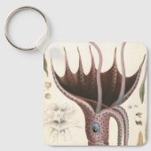 zeedieren, baardplein sleutelhanger (Voorkant)