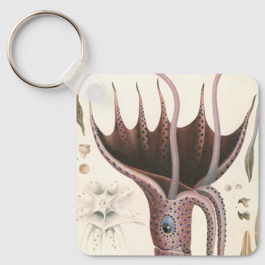  zeedieren, baardplein sleutelhanger (Voorkant)