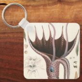 zeedieren, baardplein sleutelhanger (Voorkant)