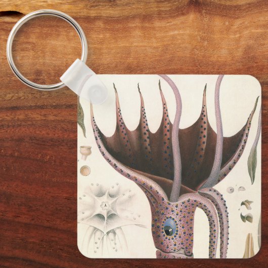  zeedieren, baardplein sleutelhanger (Voorkant)