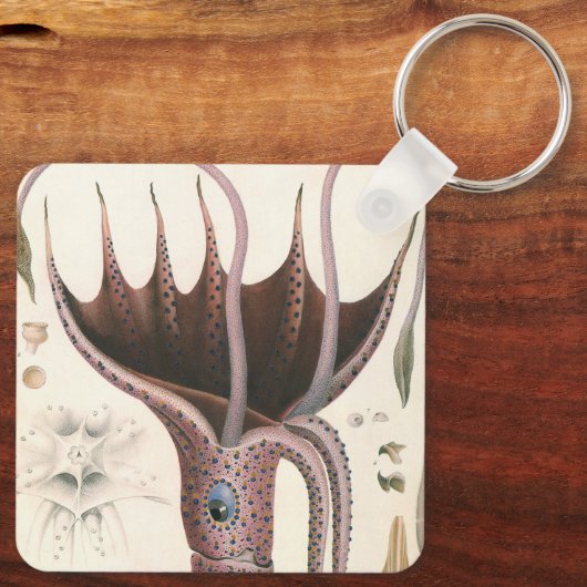  zeedieren, baardplein sleutelhanger (Achterkant)