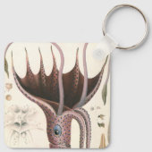 zeedieren, baardplein sleutelhanger (Achterkant)