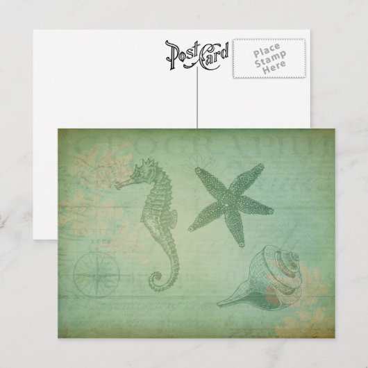 zeedieren en zeeschelpen briefkaart (Voorkant / Achterkant)