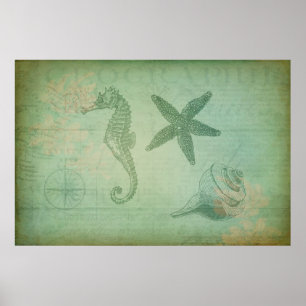  zeedieren en zeeschelpen poster