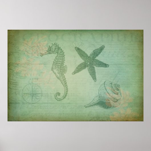  zeedieren en zeeschelpen poster (Voorkant)