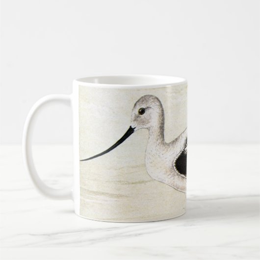  zeedieren Shorebirds, Avocet Birds Mok (Links)