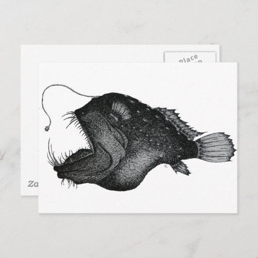 Zeeduivel Briefkaart (Voorkant / Achterkant)