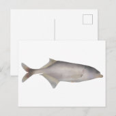 Zeeduivel Briefkaart (Voorkant / Achterkant)