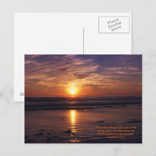 Zeeduivel Briefkaart (Voorkant / Achterkant)