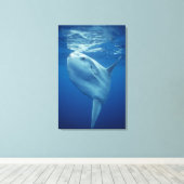 Zeeduivel Canvas Afdruk (Insitu (Houten vloer))