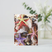 Zeeduivel, kleurrijke schelp briefkaart (Staand voorkant)