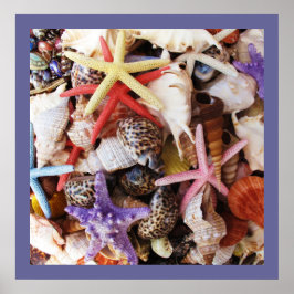 Zeeduivel, kleurrijke schelp poster