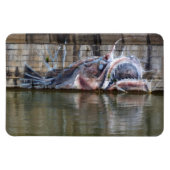 Zeeduivel Magneet (Horizontaal)