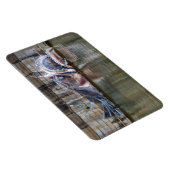 Zeeduivel Magneet (Rechterzijde)