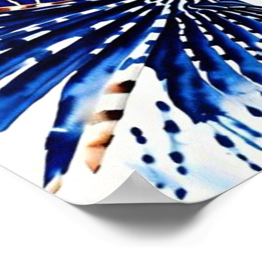 Zeeduivel Poster (Hoek)