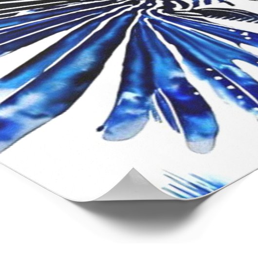 Zeeduivel Poster (Hoek)