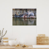 Zeeduivel Poster (Keuken)