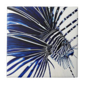 Zeeduivel Tegeltje (Voorkant)