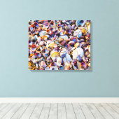 Zeeduivel van de Zee Canvas Afdruk (Insitu (Houten vloer))