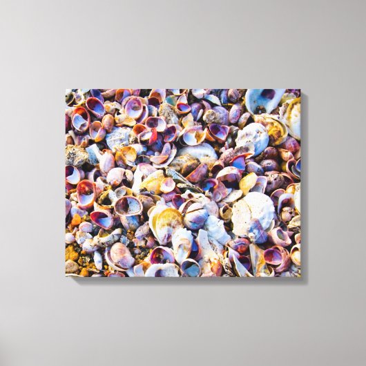 Zeeduivel van de Zee Canvas Afdruk (Voorkant)