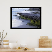 Zeeduivelingsbringer voor nieuw leven poster (Keuken)