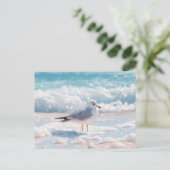 Zeeëend bij het strand Kustkunst ansichtkaart Briefkaart (Staand voorkant)
