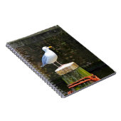 Zeeëend Notitieboek (Rechterzijde)