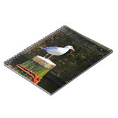 Zeeëend Notitieboek (Linkerzijde)